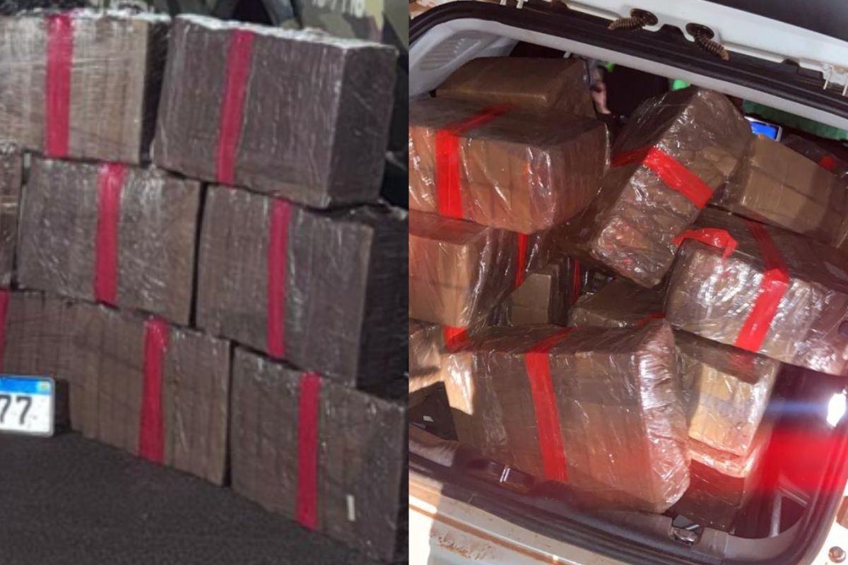Dois homens são presos e mais de 500 kg de maconha são apreendidos na BR-158 em MT