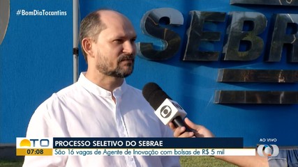 Sebrae abre processo seletivo com bolsas de R$ 5 mil