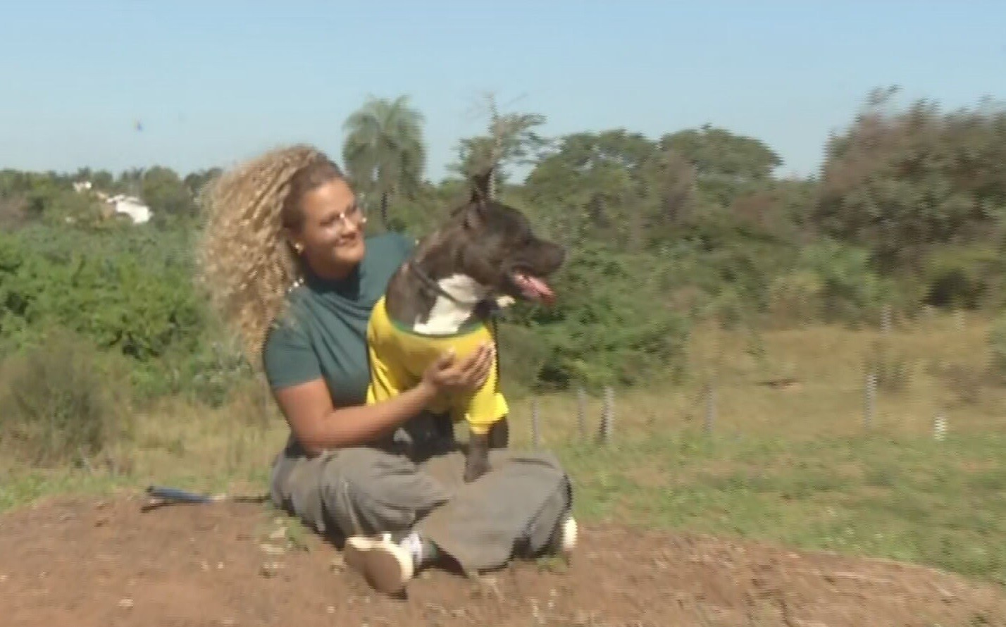 Cães e gatos de Rio Preto viram figurinhas de álbum para incentivar adoção