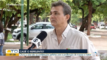 Especialista dá dicas de como se livrar de moscas e insetos sem agredir o meio ambiente