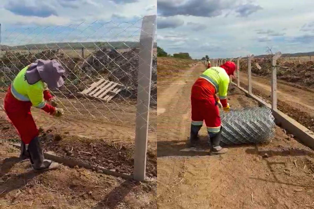 Rodovia recebe cerca condutora para reduzir atropelamentos de animais silvestres em MS