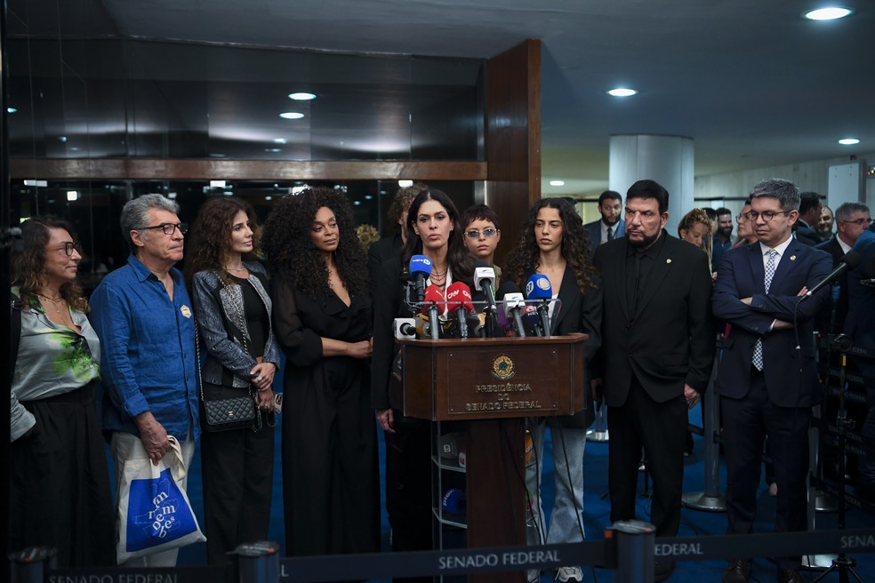 Artistas estiveram no Senado para discutir as regras para direitos autorais no projeto sobre inteligência artificial. — Foto: Jonas Pereira/Agência Senado
