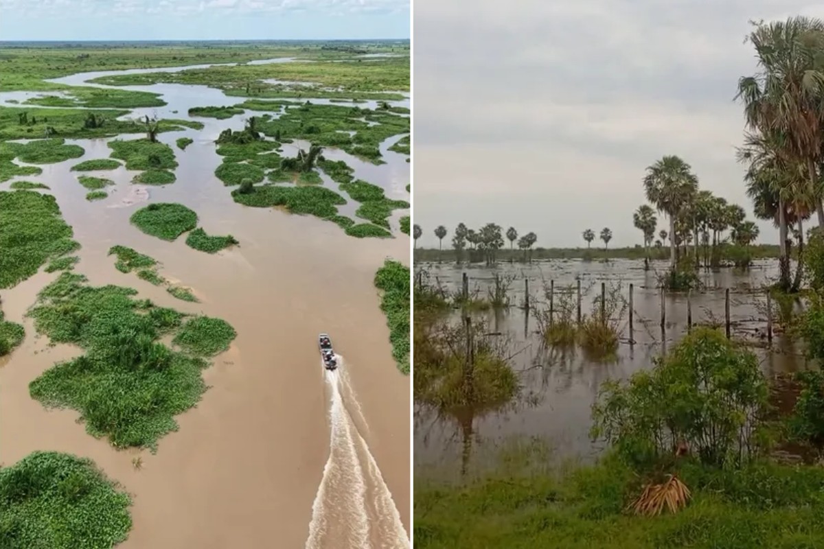 Rio Miranda ultrapassa cota de alerta e fica 4,7 metros acima da média histórica no Pantanal