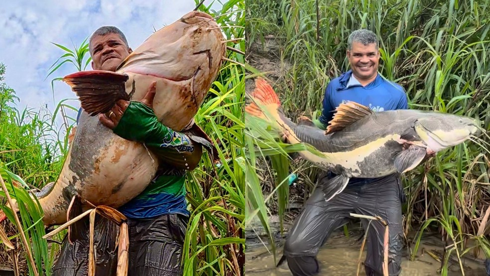 João Cordeiro registra momento com pirarara gigante antes de devolver o peixe ao rio. — Foto: Reprodução/acervo pessoal