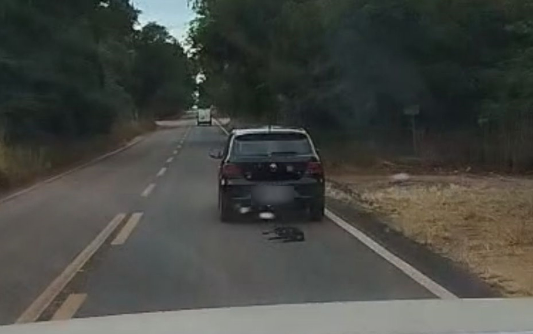 Cachorro preso a corda é arrastado por carro na GO-154; vídeo