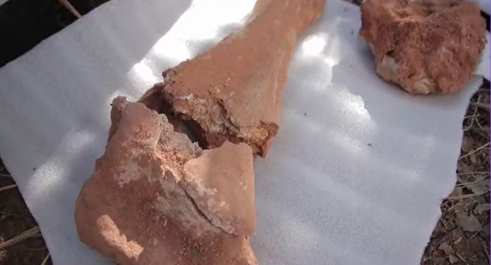 Para evitar danos aos fósseis, os cientistas aplicam aditivos que endurecem o material — Foto: TVCA