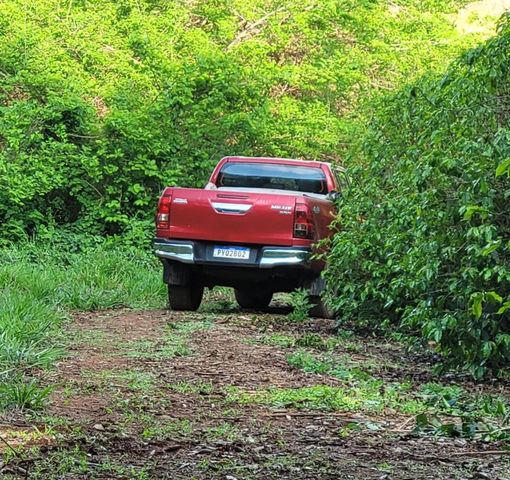 Caseiro de sítio é baleado durante assalto na zona rural de Paraguaçu; polícia busca suspeitos