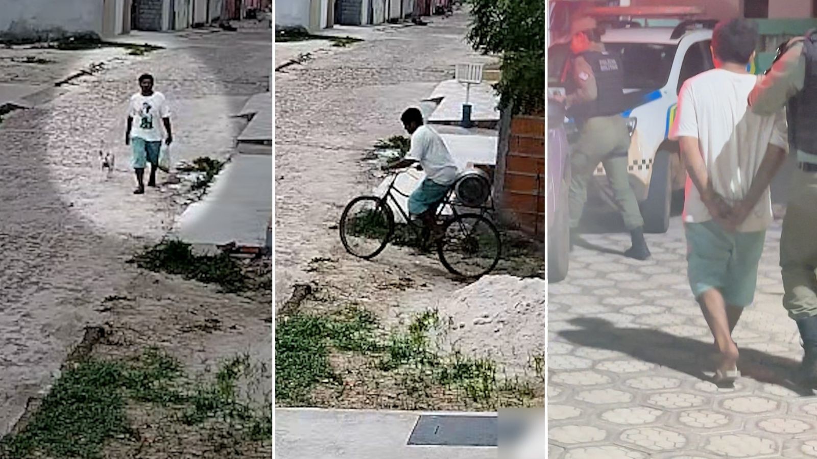 Vídeo: Assaltante com cachorro invade, furta casa e 'esquece' animal no local em cidade do Piauí