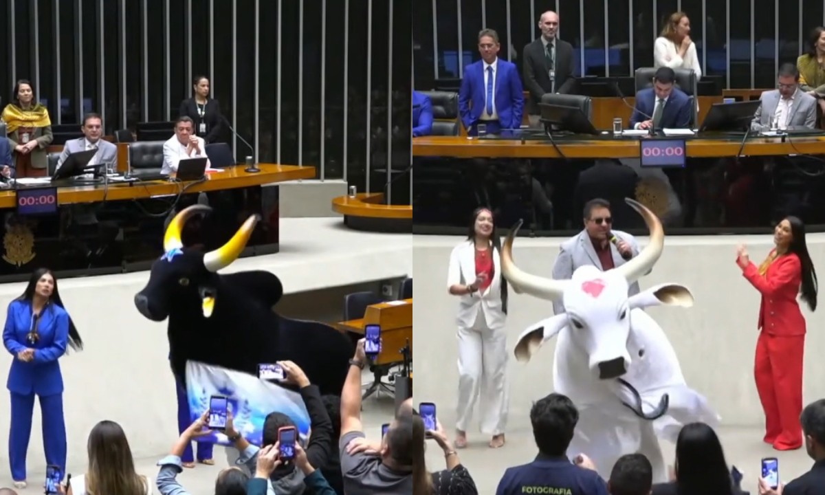 Bois Caprichoso e Garantido são homenageados em sessão da Câmara dos Deputados