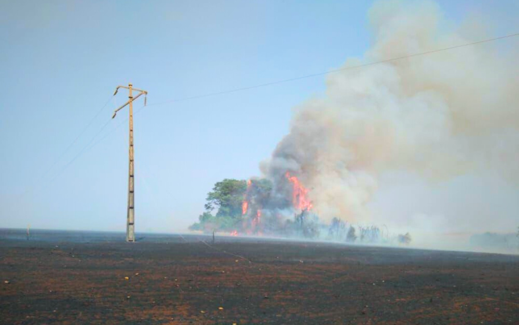 Incêndios próximos a redes elétricas aumentam 300% em Goiás em 2024, diz concessionária 