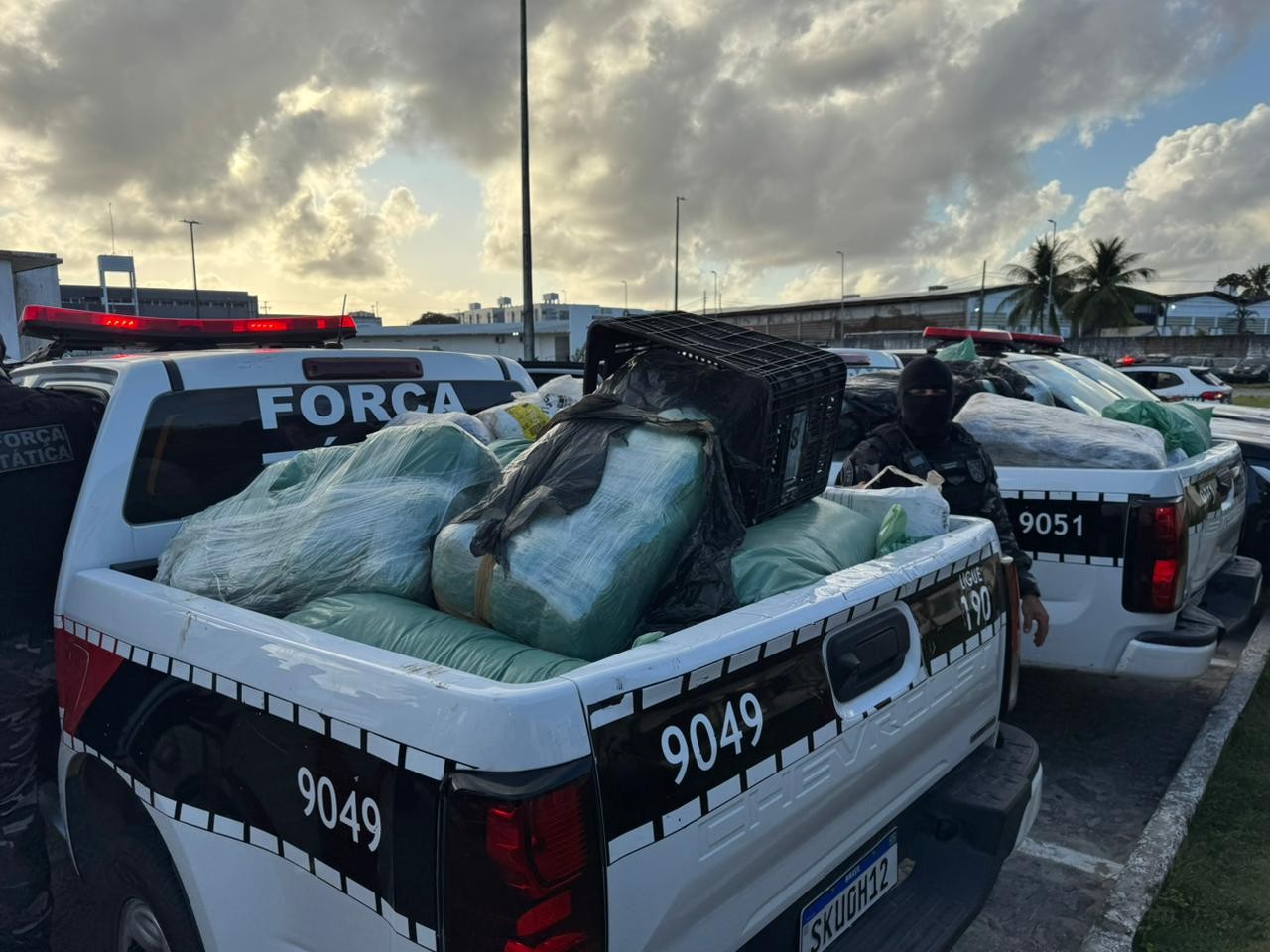 Quase meia tonelada de drogas é apreendida pela Polícia Militar em João Pessoa e Bayeux