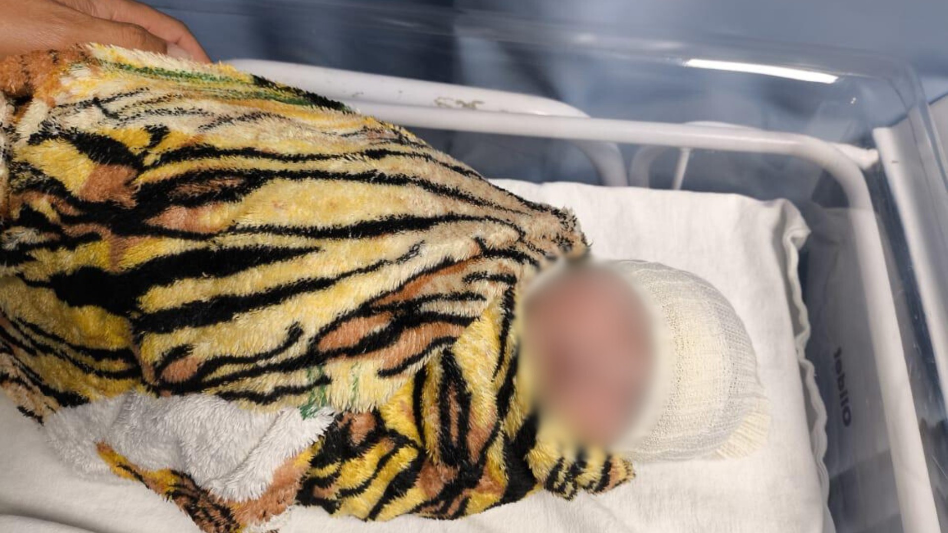 Recém-nascida levada por médica de hospital de Uberlândia é encontrada em Goiás, e mulher é presa