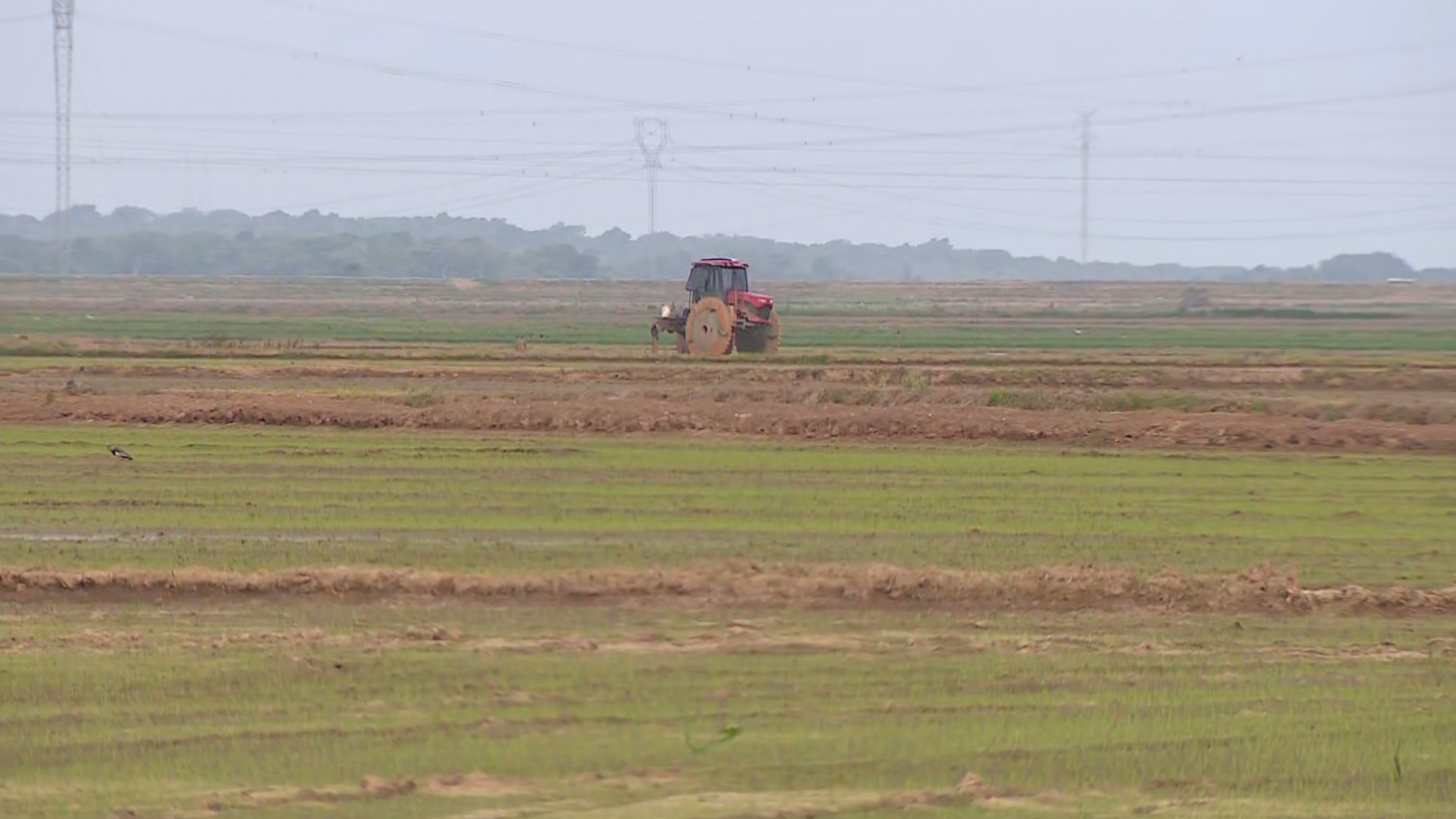 Embarcação encalhada desde a enchente no RS bloqueia canal de irrigação de lavouras de arroz em fazenda de Triunfo