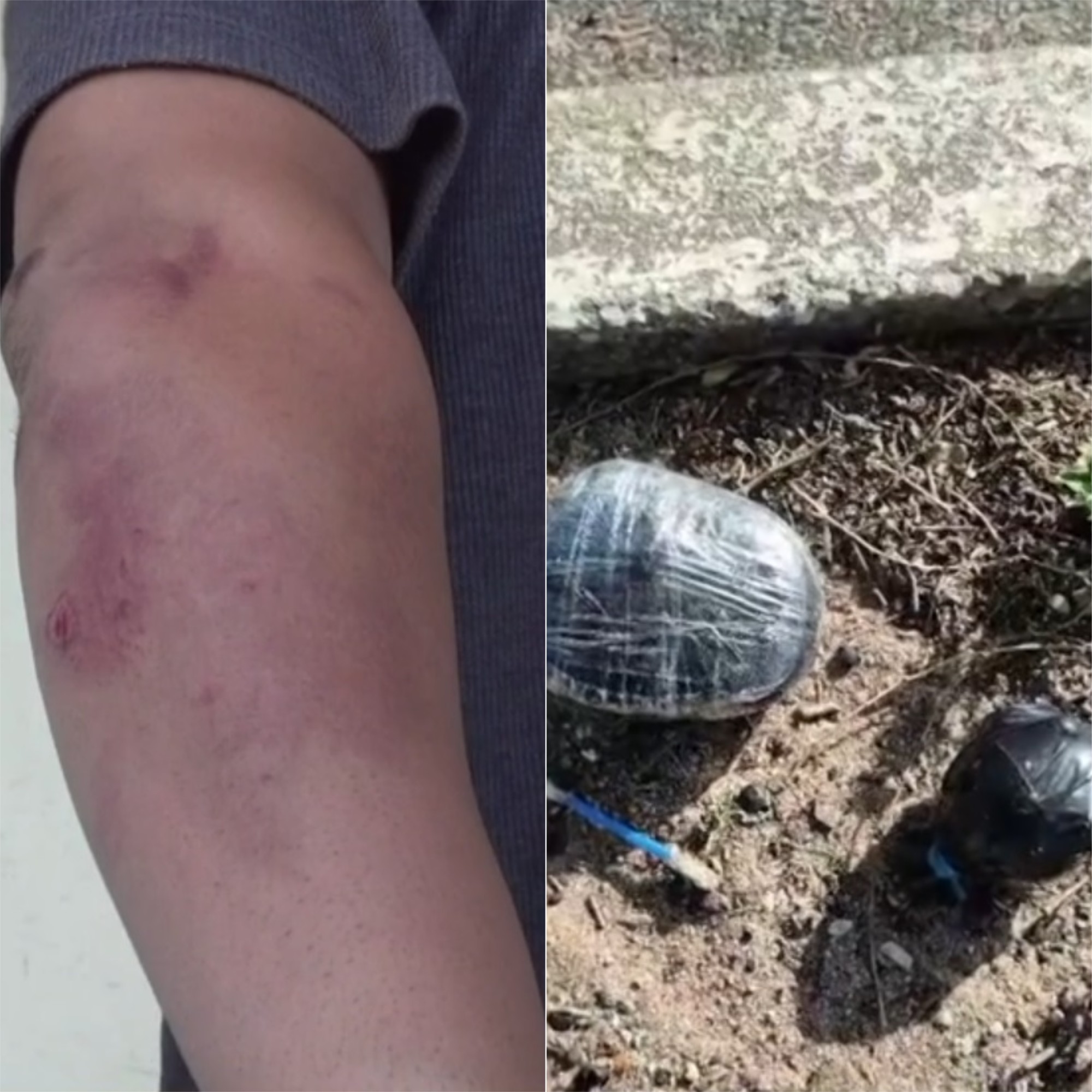 Vídeos mostram brigas entre torcedores antes de ABC e América-RN; PM apreende explosivos e munições 