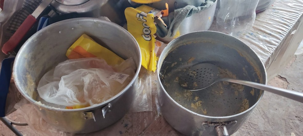 Cachorros com sinais de maus-tratos são encontrados e dono é recebe multa de R$ 12 mil — Foto: Polícia Ambiental