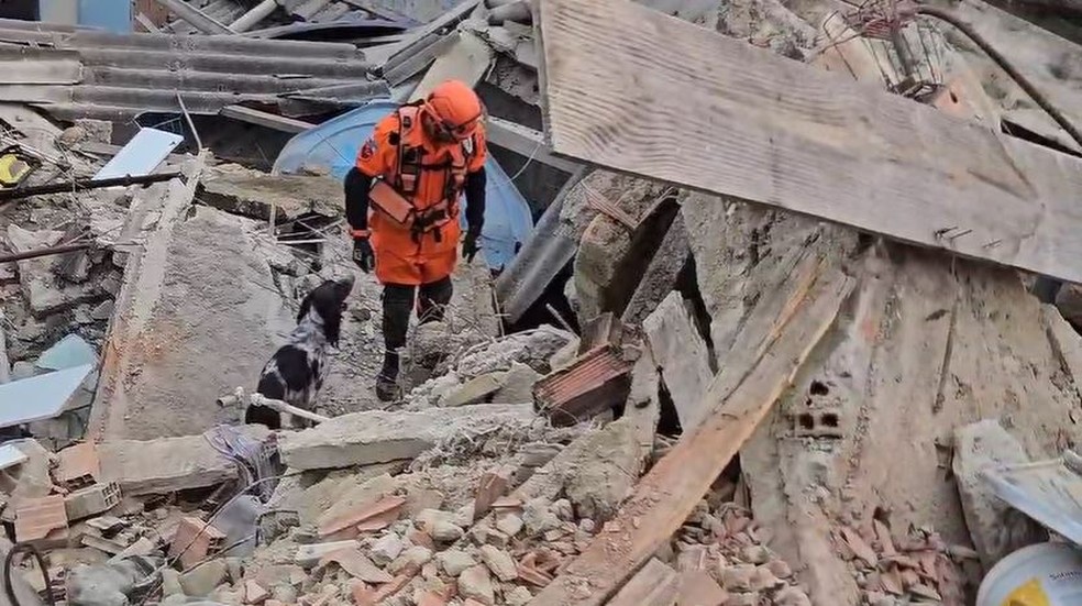 Bombeiro e cão farejador procuraram por vítimas — Foto: Divulgação