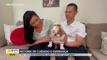 Tutor usa conhecimento em química e encontra tratamento para cão com câncer