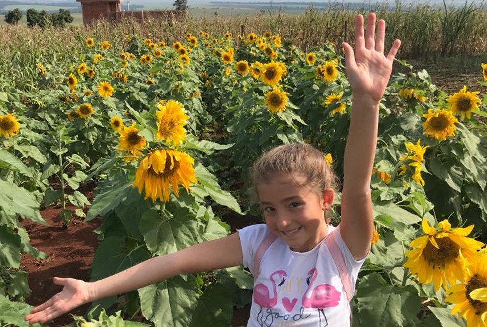 Valentina Oliveira Mançano, de 9 anos, sorrindo em um campo de girassóis — Foto: Arquivo pessoal