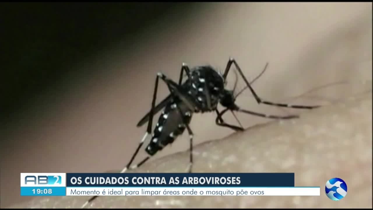 VÍDEOS: AB2 de quarta-feira, 13 de novembro de 2024 