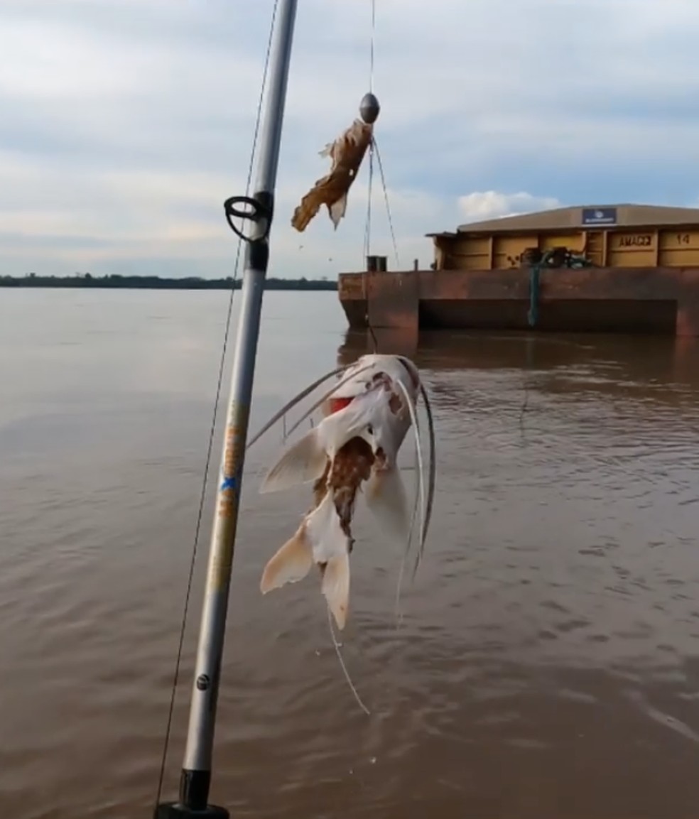 PESCA ESPORTIVA: Porto Velho recebe grandes pescadores do país