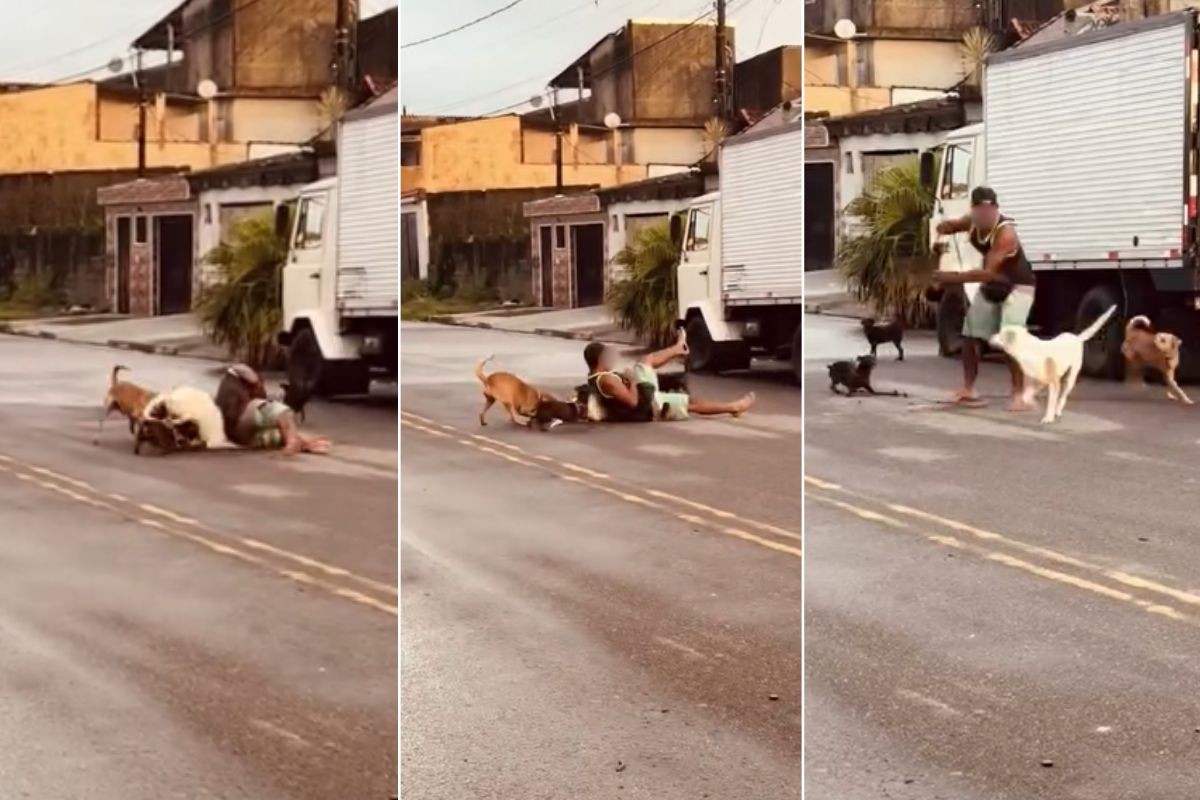 Ex-lutador de MMA dá mata-leão em pit bull para salvar pinscher; VÍDEO  