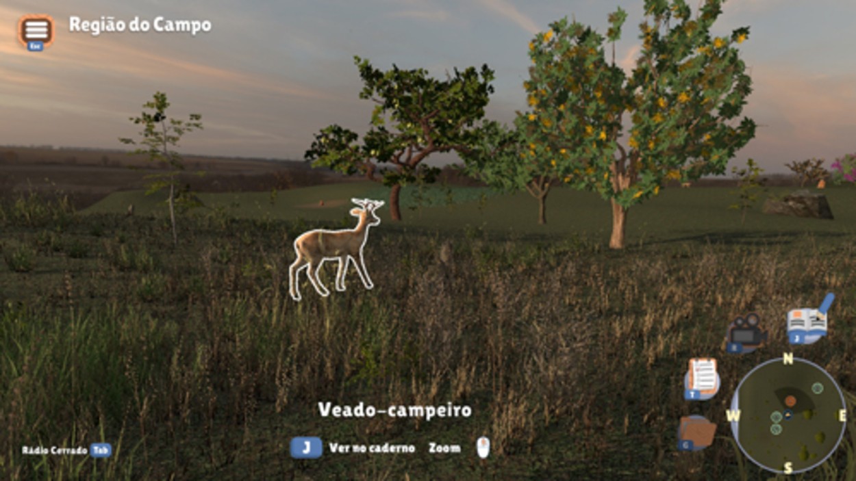 Game gratuito simula exploração do Cerrado brasileiro e ensina sobre espécies e preservação