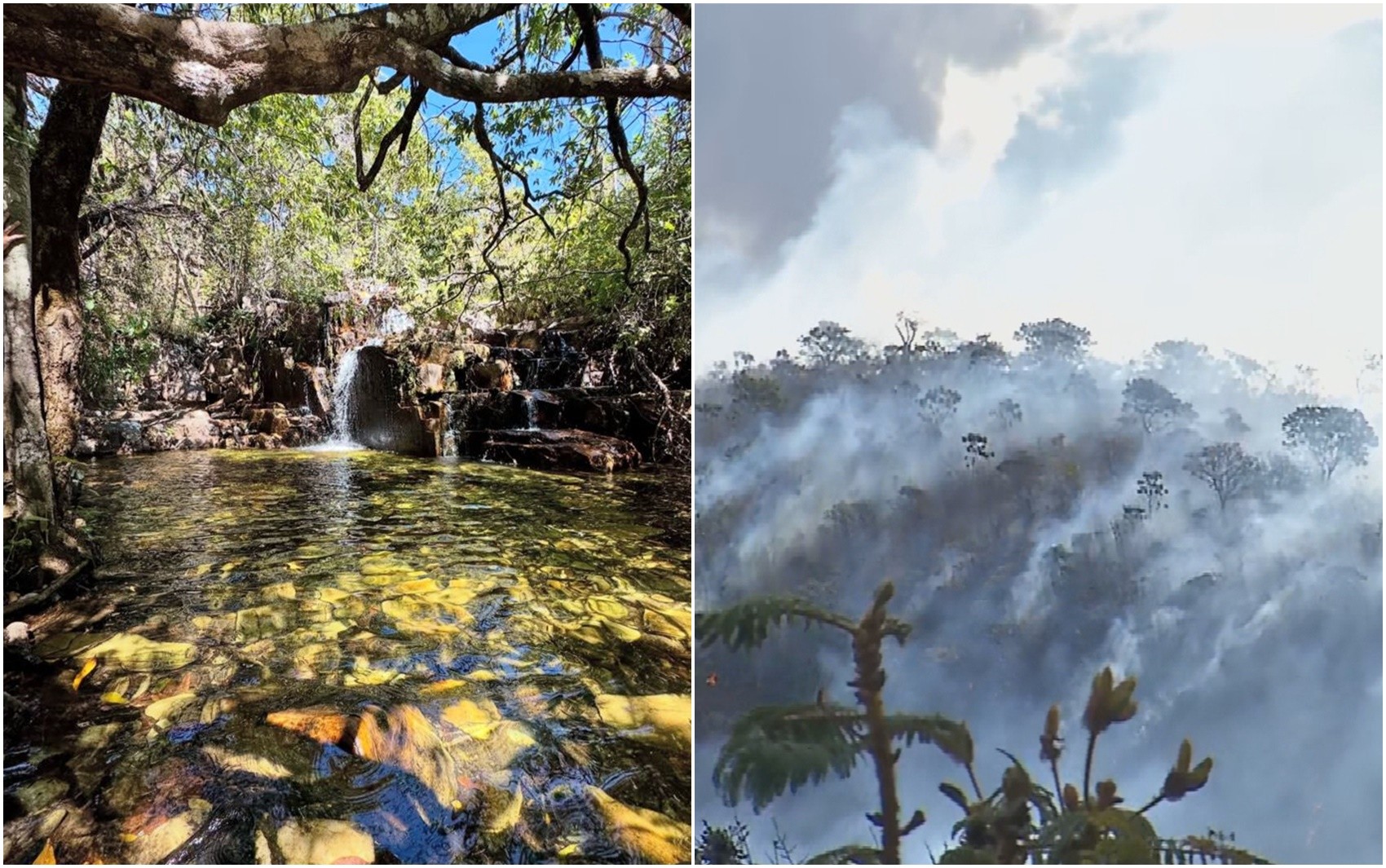 Região de cachoeiras em Pirenópolis é atingida por incêndio; vídeo