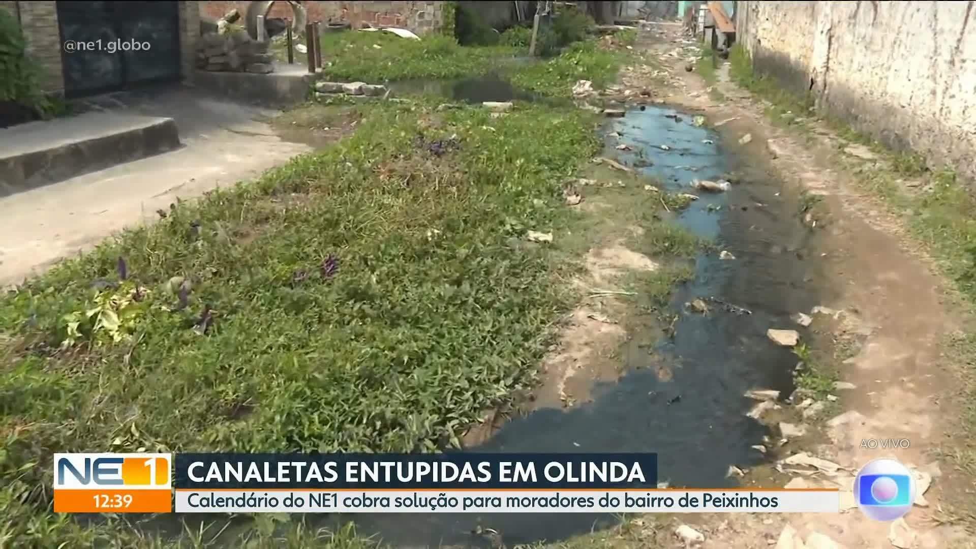 VÍDEOS: NE1 de terça-feira, 23 de setembro de 2025