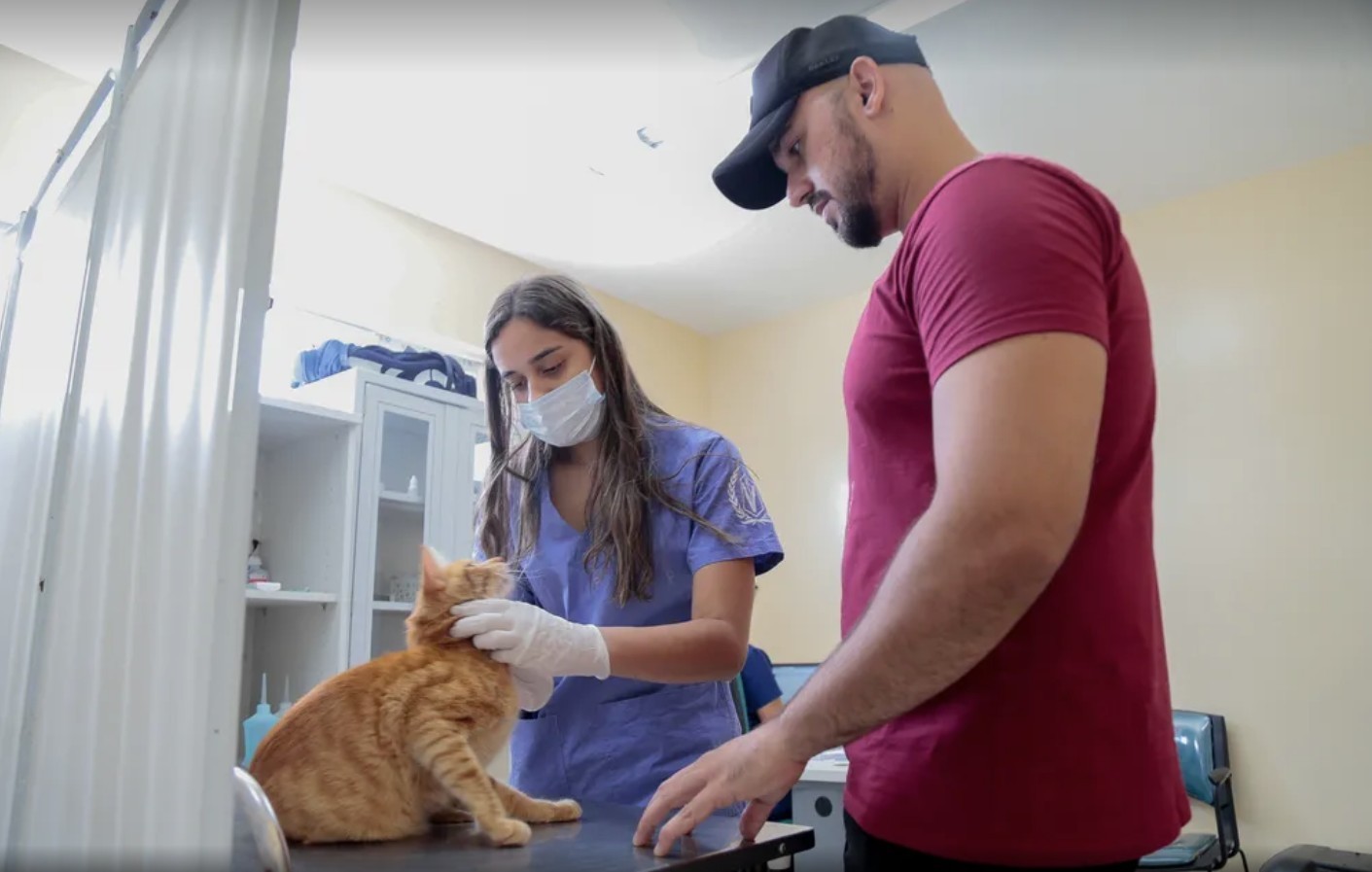 Campanha antirrábica em Fortaleza terá 52 postos de vacinação para cães e gatos neste sábado