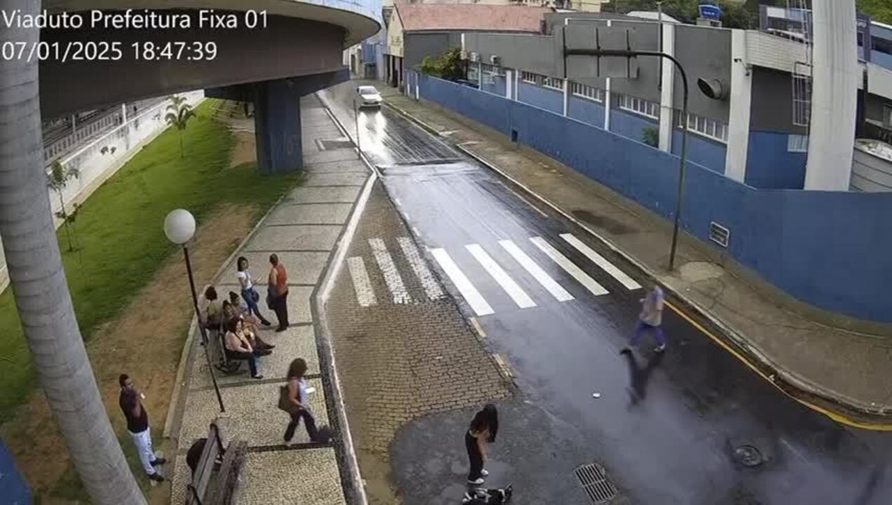 VÍDEO: Cachorro morre depois de ser jogado de viaduto em Barra Mansa, diz prefeitura