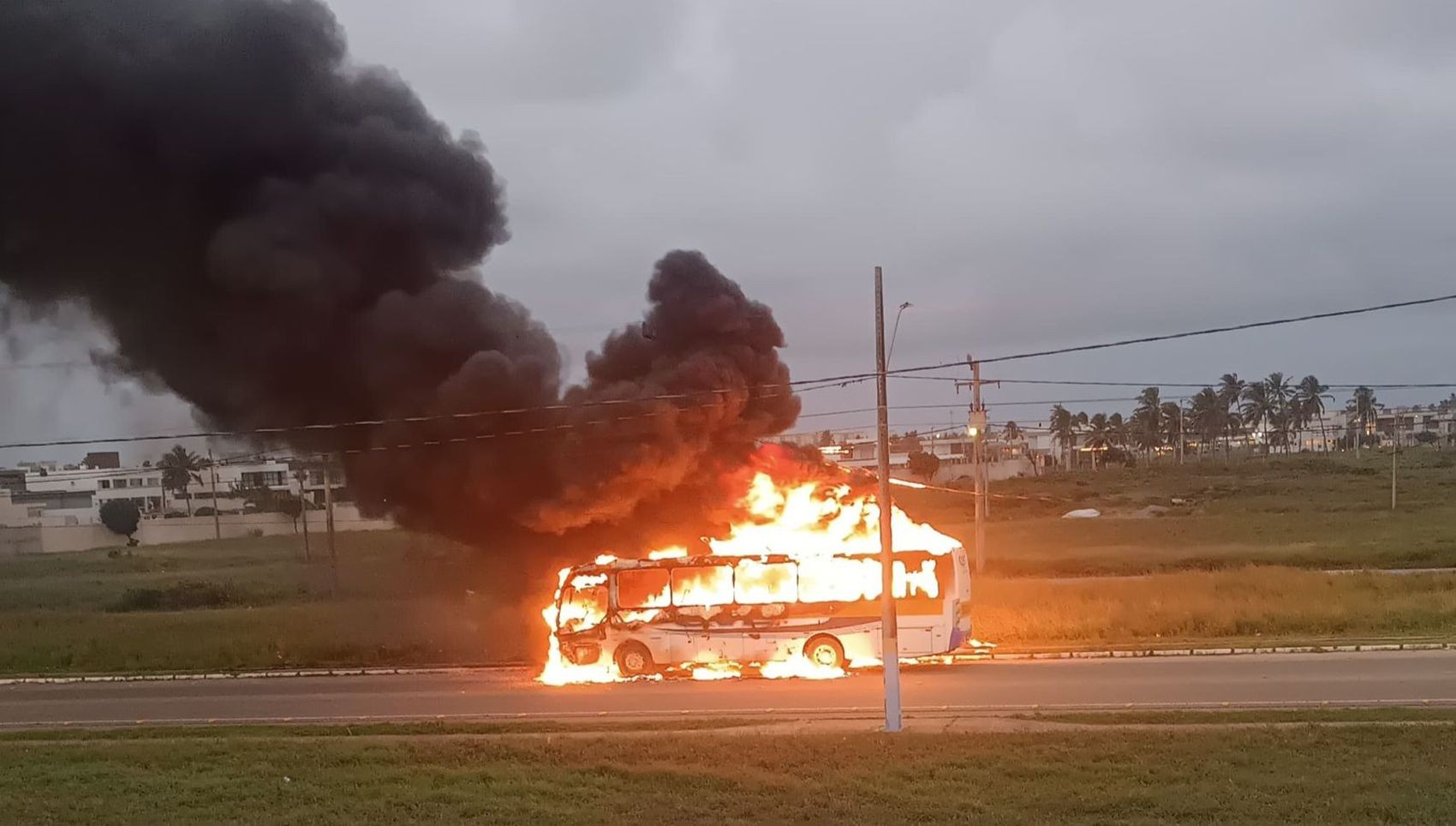 onibus.jpg