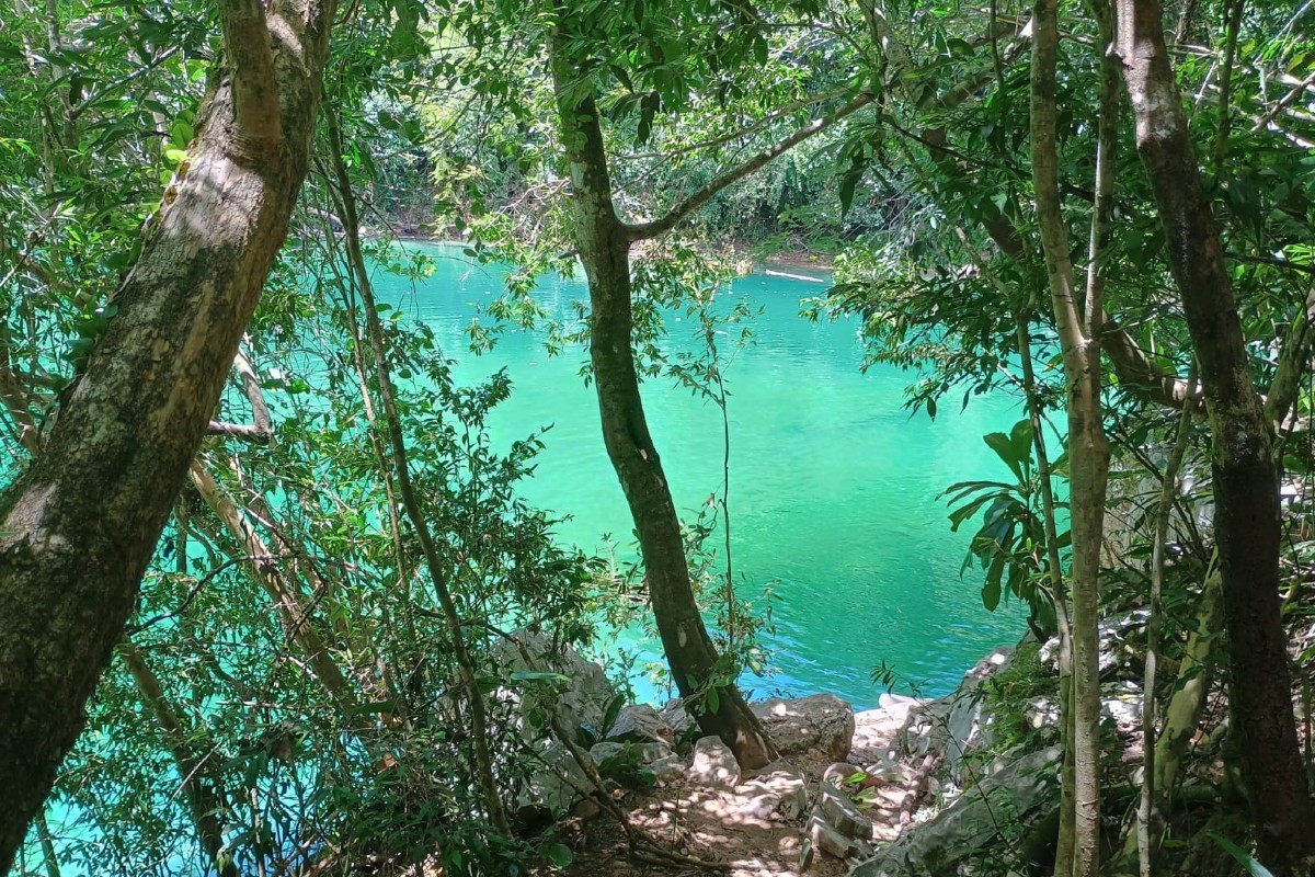 Legendários são barrados em áreas protegidas de MS por causar danos ambientais