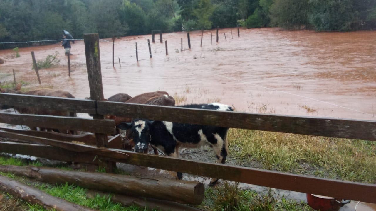 Chuva de quase 200mm cancela aulas, eleva nível de rios e deixa estragos