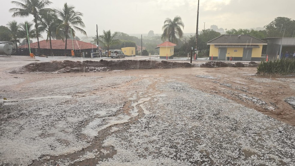 Chuva de granizo em Urupês (SP) — Foto: Arquivo Pessoal