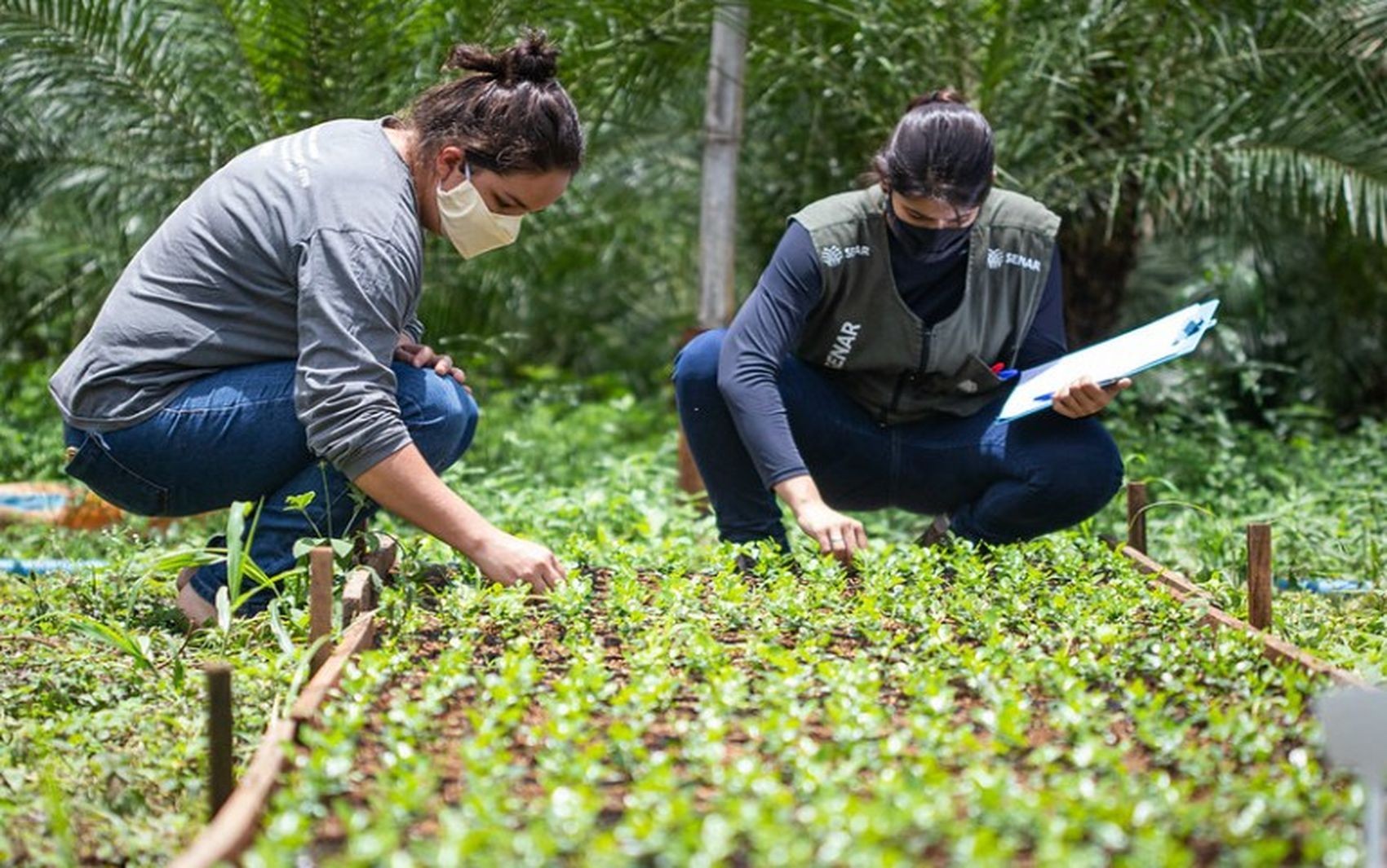 Sistema Faemg Senar oferece capacitações gratuitas, em 13 cidades do Leste de Minas, a partir desta segunda-feira (30)