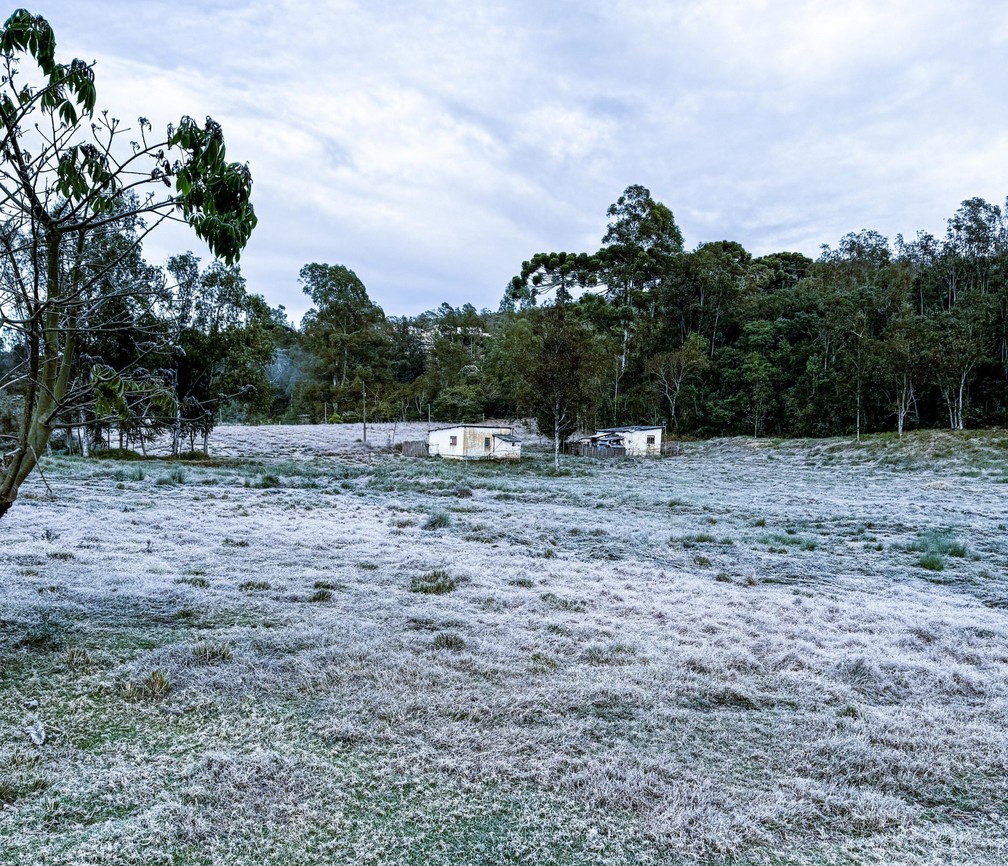 Frio em Maria da Fé (12/08/24) — Foto: William Siqueira
