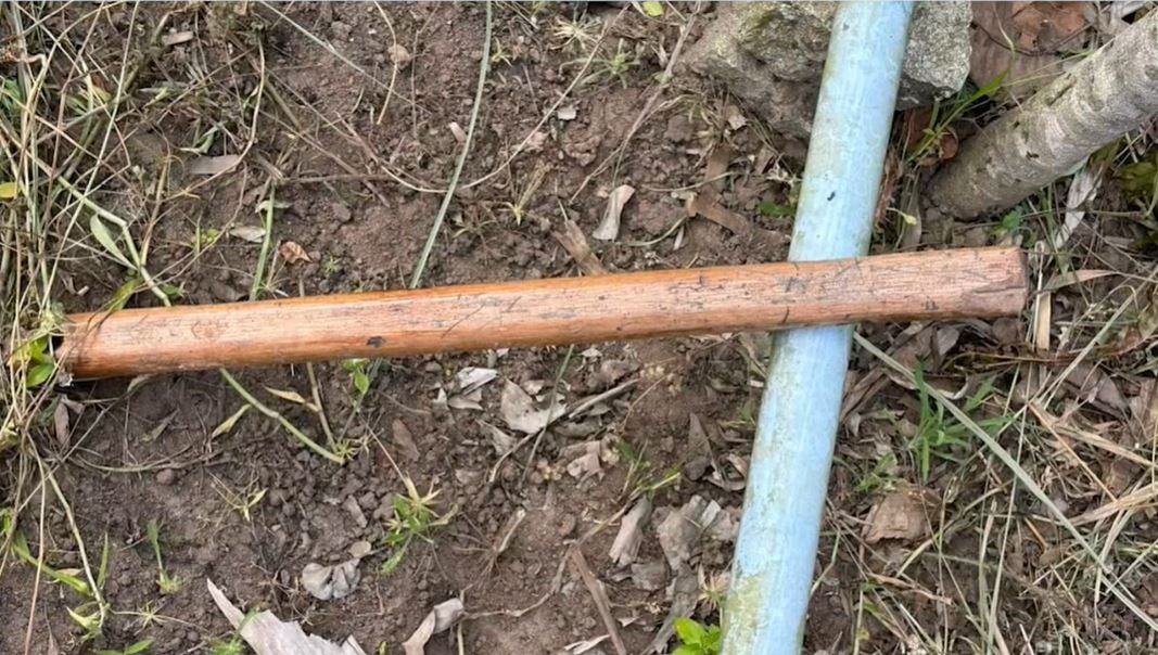 Mulher é morta com golpes de madeira na cabeça por homem com quem se relacionava, na PB