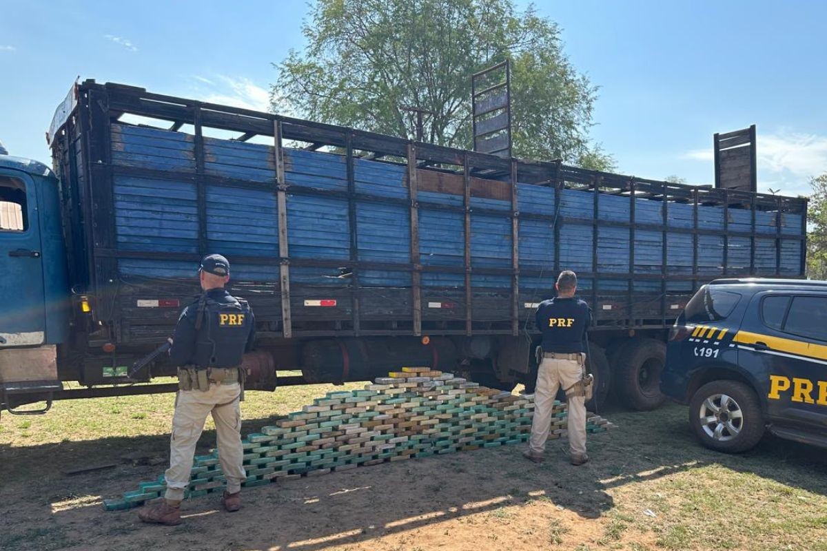 Caminhoneiro é preso com quase 200 kg de cocaína escondida embaixo de gado em MS