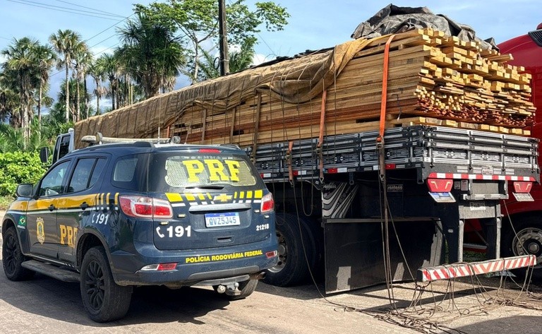 PRF apreende madeira ilegal durante fiscalização na BR-316, 
