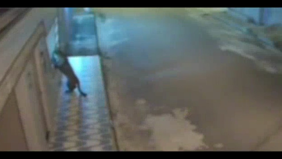 Força-tarefa busca onça-pintada que invadiu condomínio em Imperatriz, no MA — Foto: Reprodução/ TV Mirante