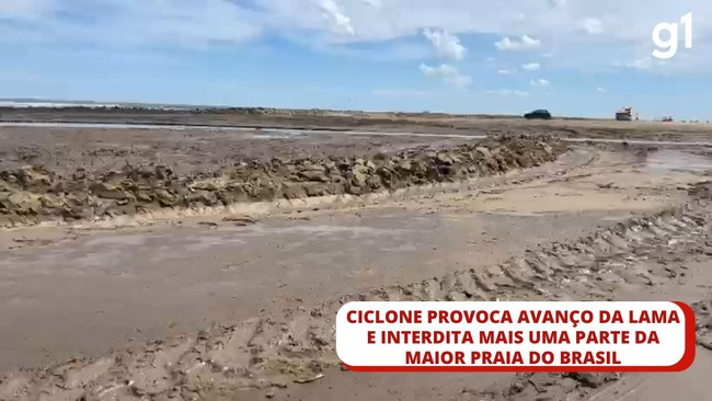 Novia transforma su vestido de boda en 22 cuadros únicos