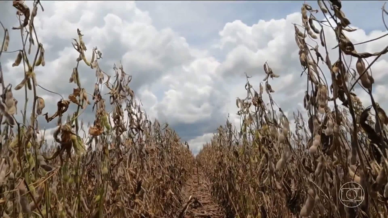 Com mudanças climáticas, Brasil se torna segundo maior produtor de ar-condicionado do mundo
