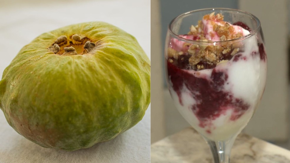 Gabiroba gigante e sorvete feito com gabiroba gigante no Espírito Santo — Foto: TV Gazeta e Adenilson Panzini