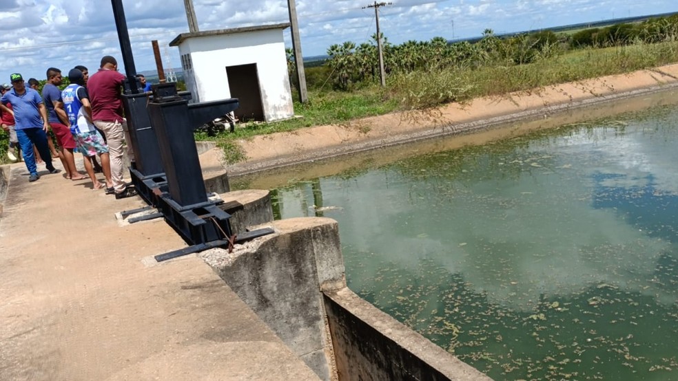 Homem morre afogado após pular em canal para fugir de ataque de abelhas em Russas, no Ceará. — Foto: Reprodução