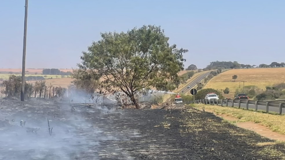 Chamas atingiram as duas margens da rodovia entre Cândido Mota e Assis (SP)  e interditaram o tráfego por uma hora — Foto: Defesa Civil/Divulgação