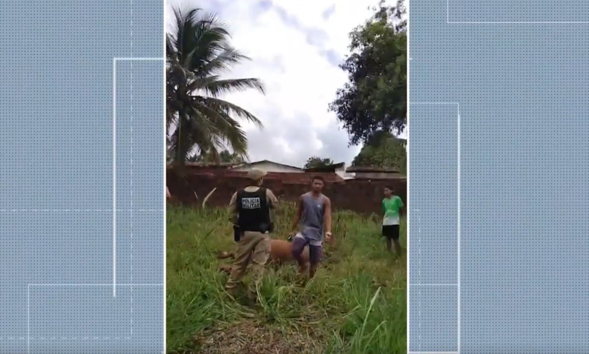 Coronel da reserva da PM é investigado suspeito de atirar em animais na Grande João Pessoa