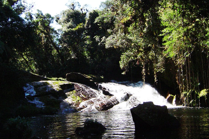 Governo de SP anuncia reabertura de parques e unidades de conservação ambiental estaduais a partir de segunda-feira (30); confira os locais