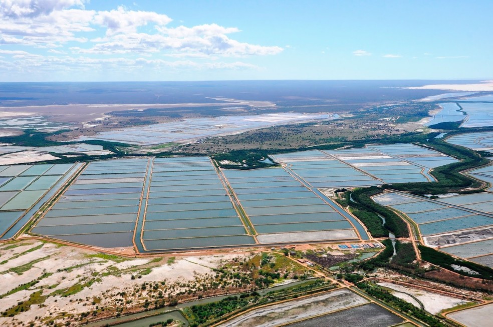 Foto aérea mostra tanques usados como viveiros de camarão em fazenda no interior do RN — Foto: ABCC/Cedida