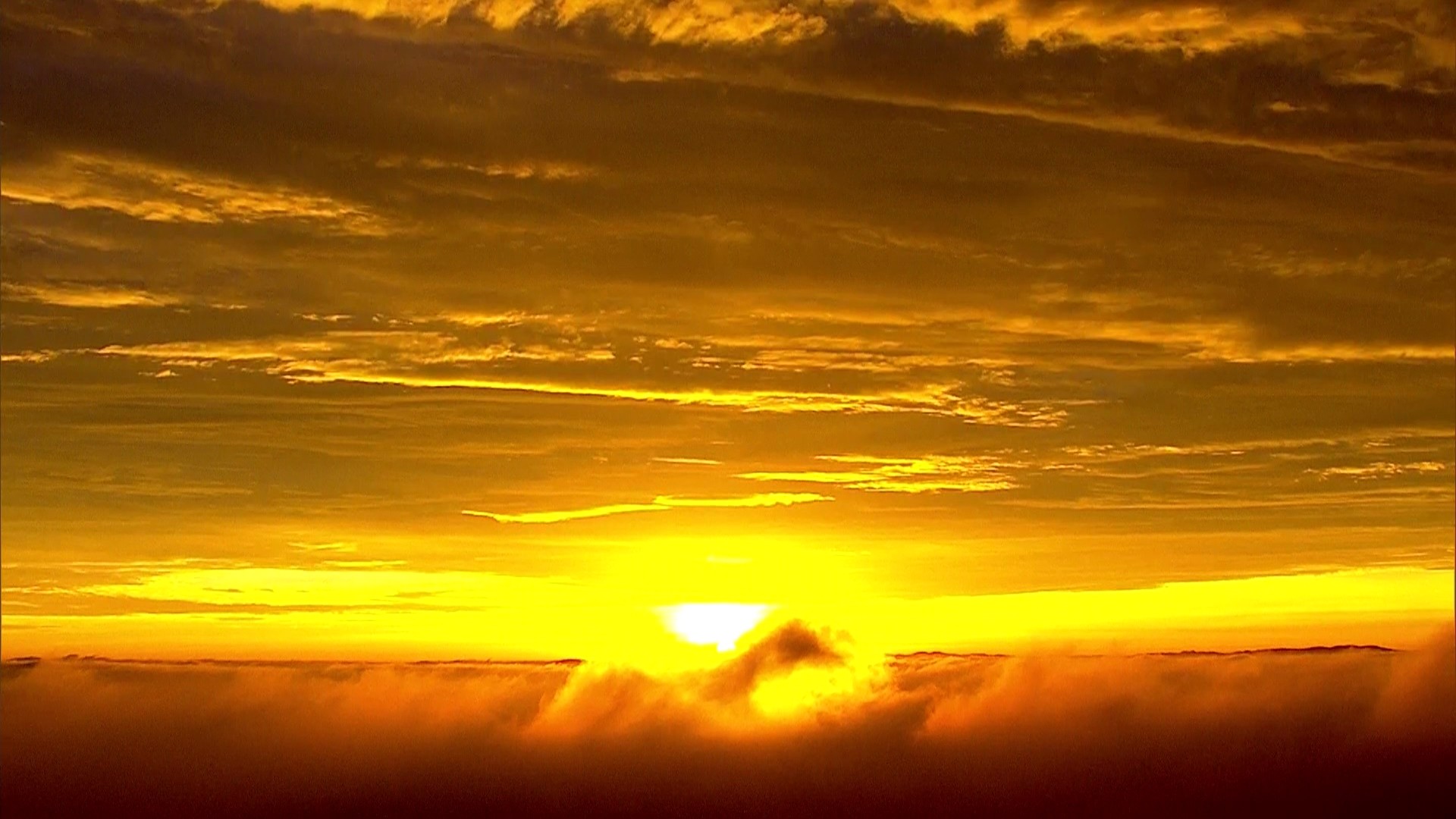 1° dia do ano em São Paulo será de sol forte e pancadas de chuva no fim do dia; veja previsão do tempo para os próximos dias