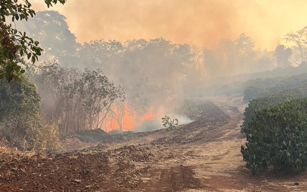 Fogo de incêndio em Pedregulho, SP — Foto: Redes Sociais